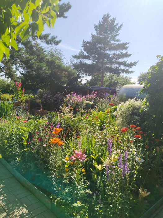 Продам дачу общесво»Эврика»