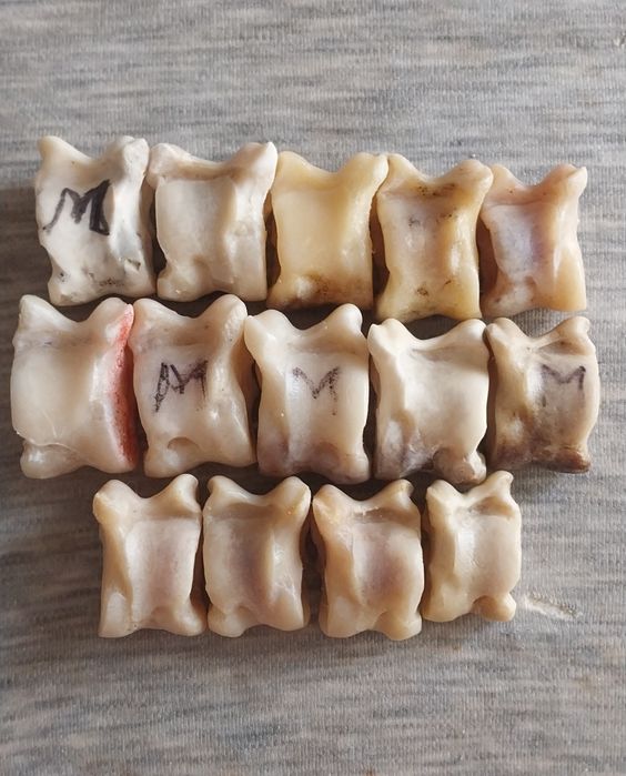 Лянги*Мәліктер *