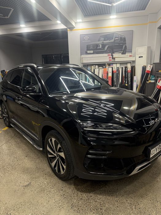 byd chempion 2024