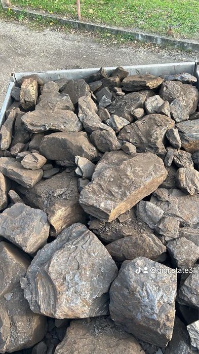 Carbune lignit, peleti , brichete