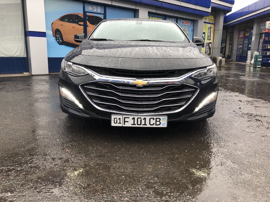 Premier qlish malibu 2 ni