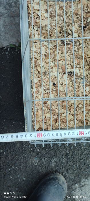 Клетки для грызуна