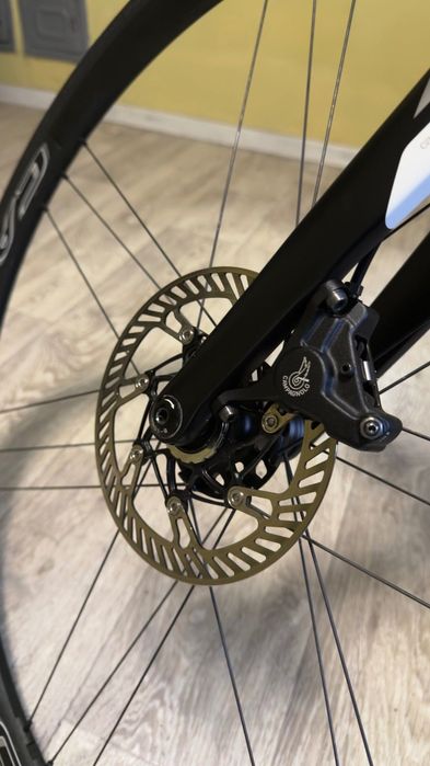 Wilier GTR team disk M Campagnolo 12