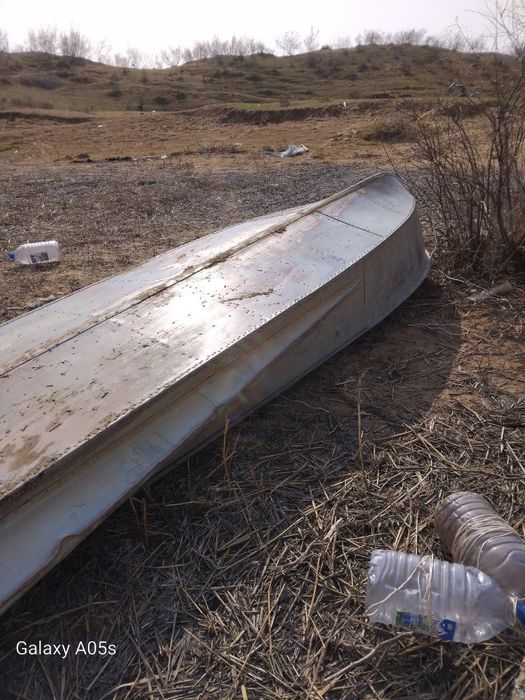 Казанка крылатка