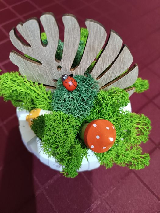 Скандинавски мъх