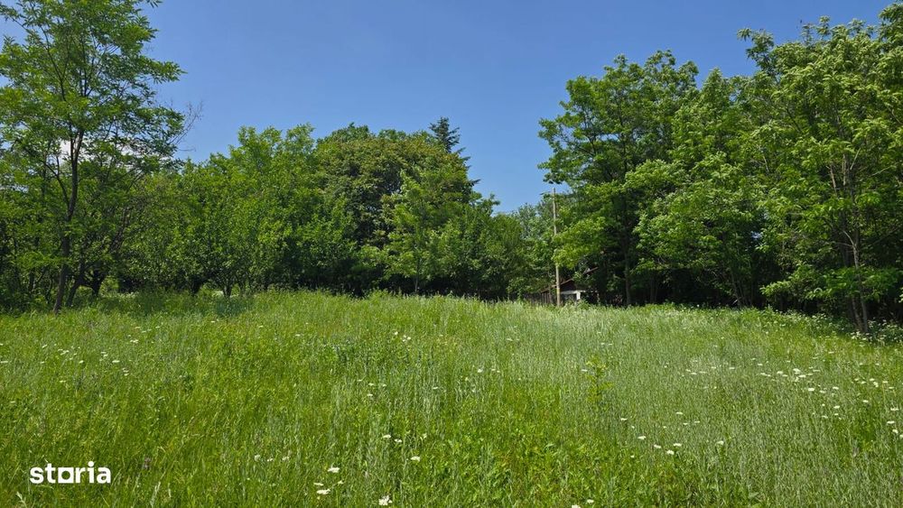 Teren de vânzare 6.352 mp – Slavu (Prahova), extravilan, drum de câmp