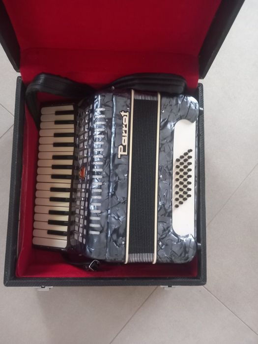 Acordeon parrot  32 basi