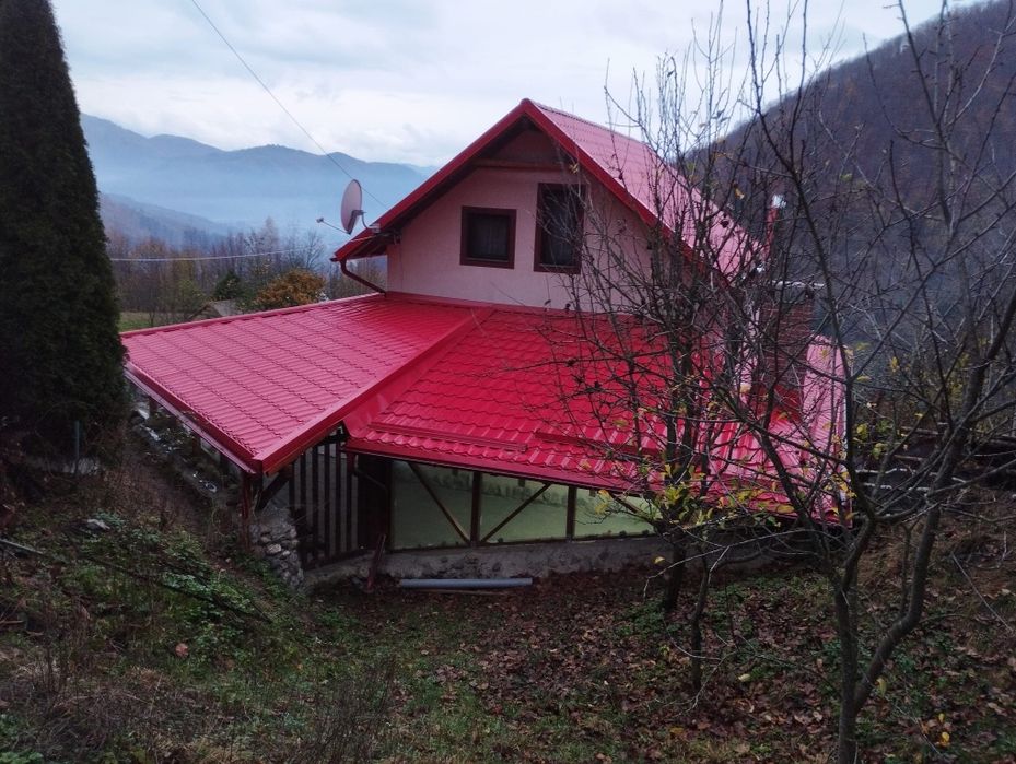 Vând proprietate/ case