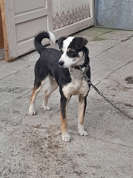 Подарявамго на 6 мес мъжко