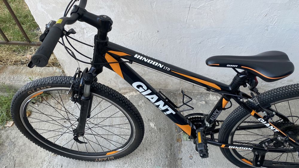 Stern rincon, Giant Scott author cube merrida