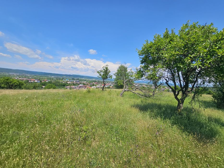 Teren EXCEPȚIONAL Colibași | Priveliște panoramică spre Pitești | Ideal casă sau investiție