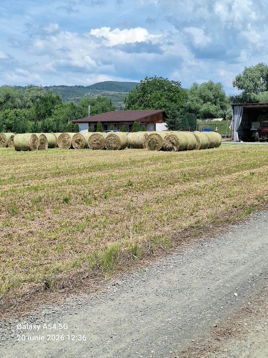 Vând baloti de lucernă 120/120, de calitate foarte bună,bine uscați, depozitati corespunzător!
