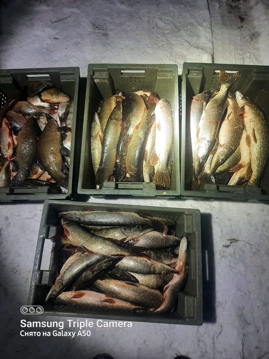 Продаётся ТОО с озером ОТРХ!!!