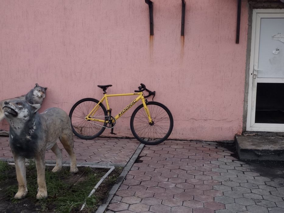 Fixed gear fixie