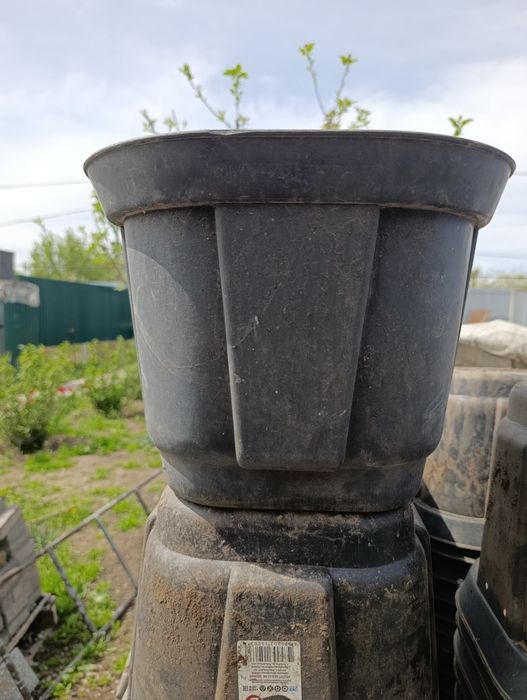 Горшки для посадки