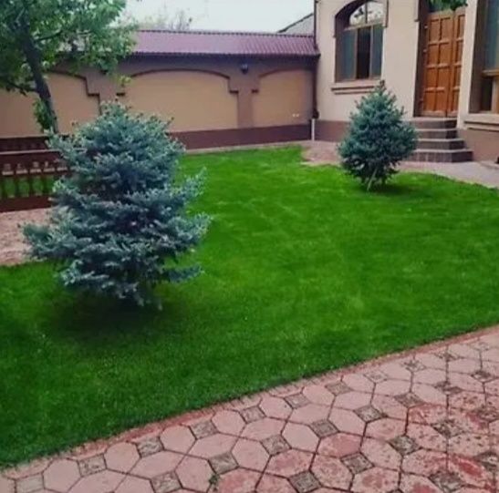 Газон+ Авто полив
