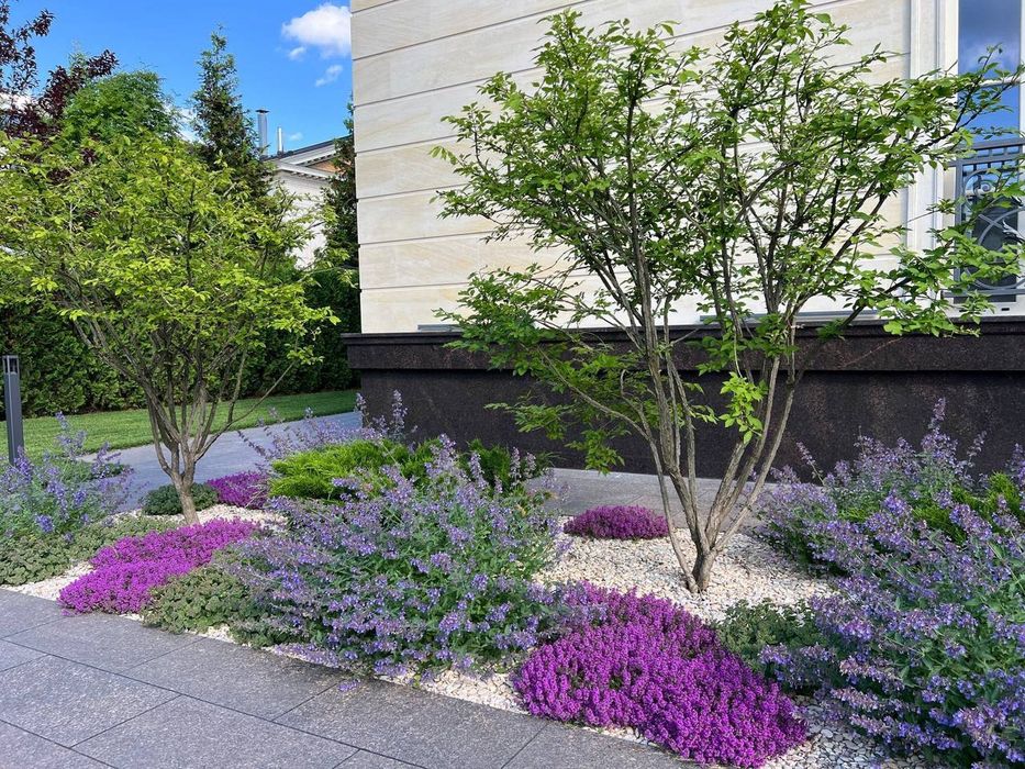 Озеленение, ландшафтный дизайн, газон и автополив