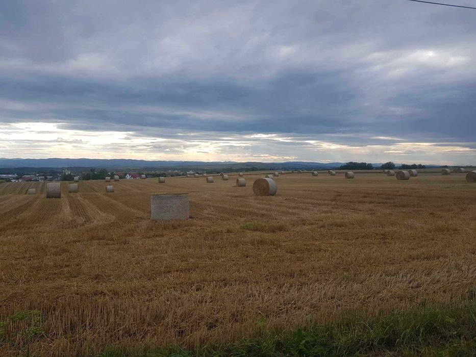 Baloti din paie cereale