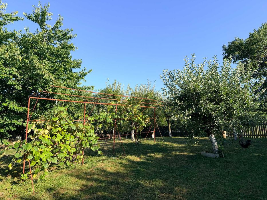 Casa cu anexe gospodaresti, livada si gradina