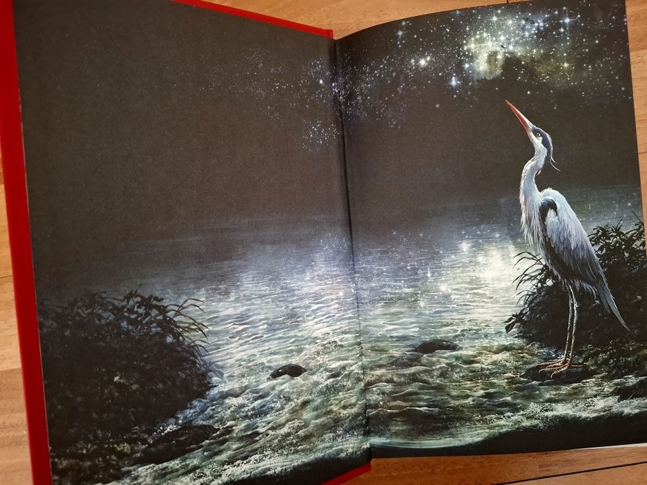 Книга Мечът на Кайген