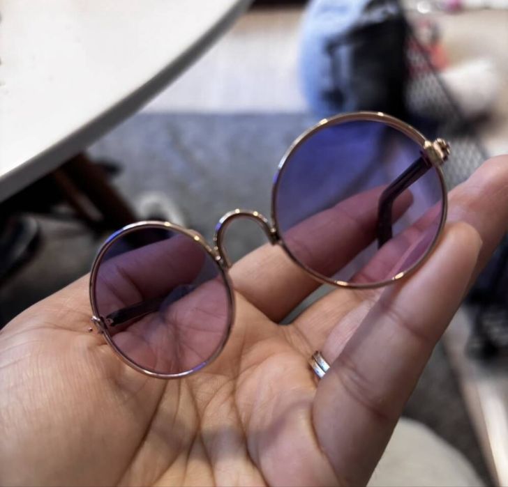 Очила за домашен любимец