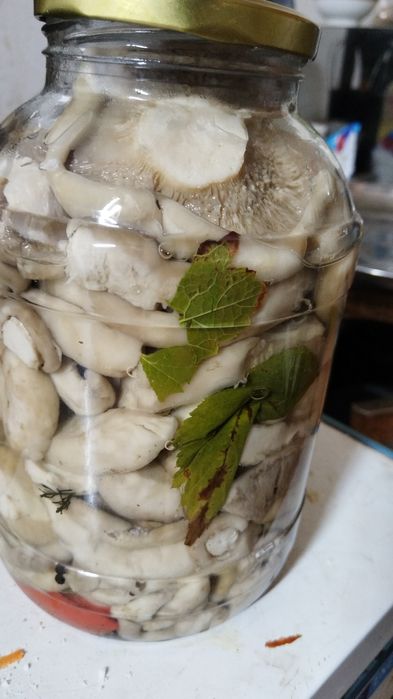 Маринованные грибы