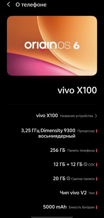 Vivo X100 256/12