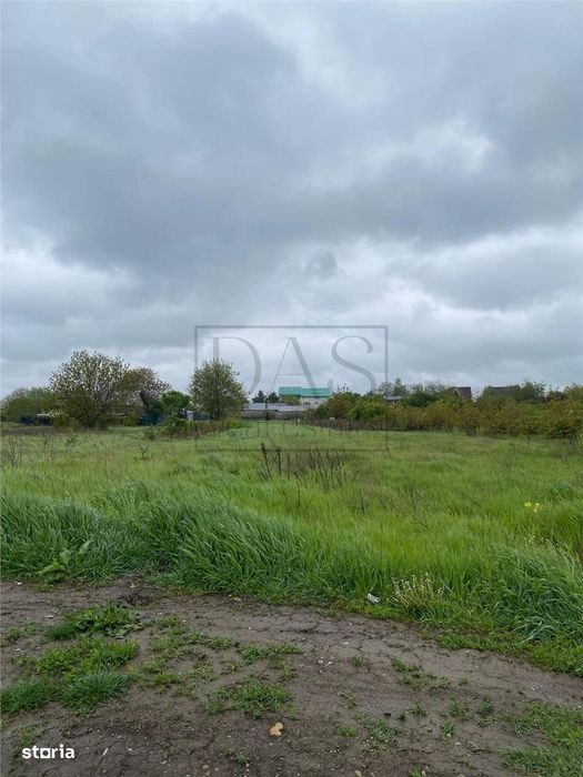 Teren intravilan | 3993 mp | Ciorogarla, Ilfov | Utilitati