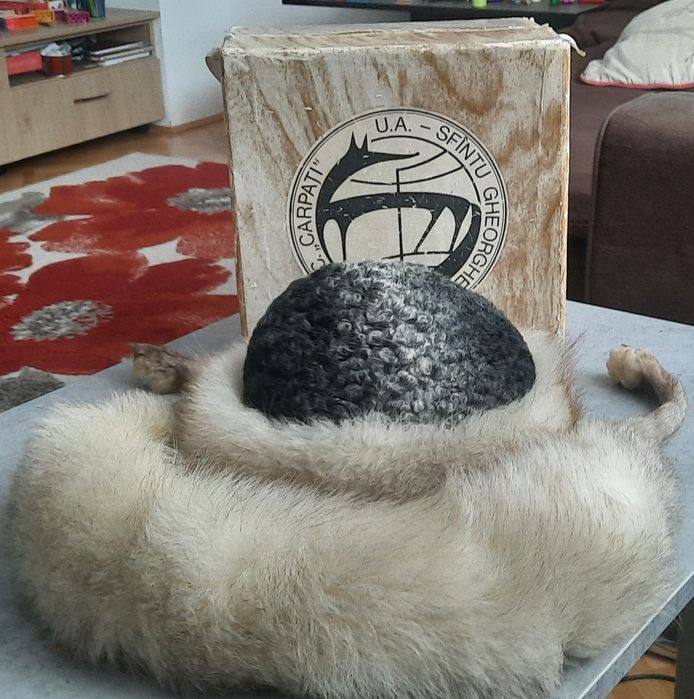 Set guler și căciulă nurca și vulpe mărimea M