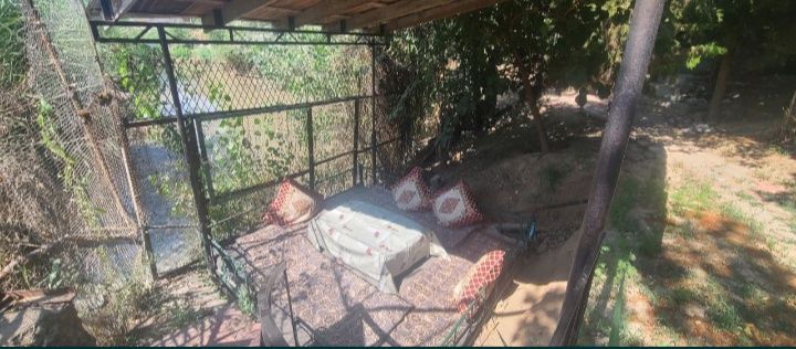 Dacha Arenda/Дача Аренда