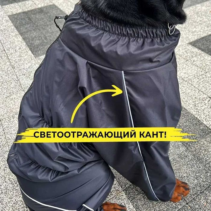 Дождевик для собаки (мальчик)