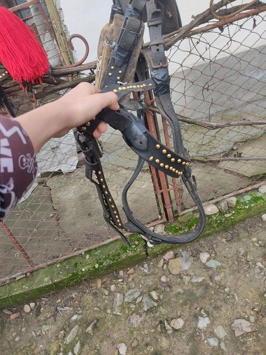 Vand sau schimb ham ponei