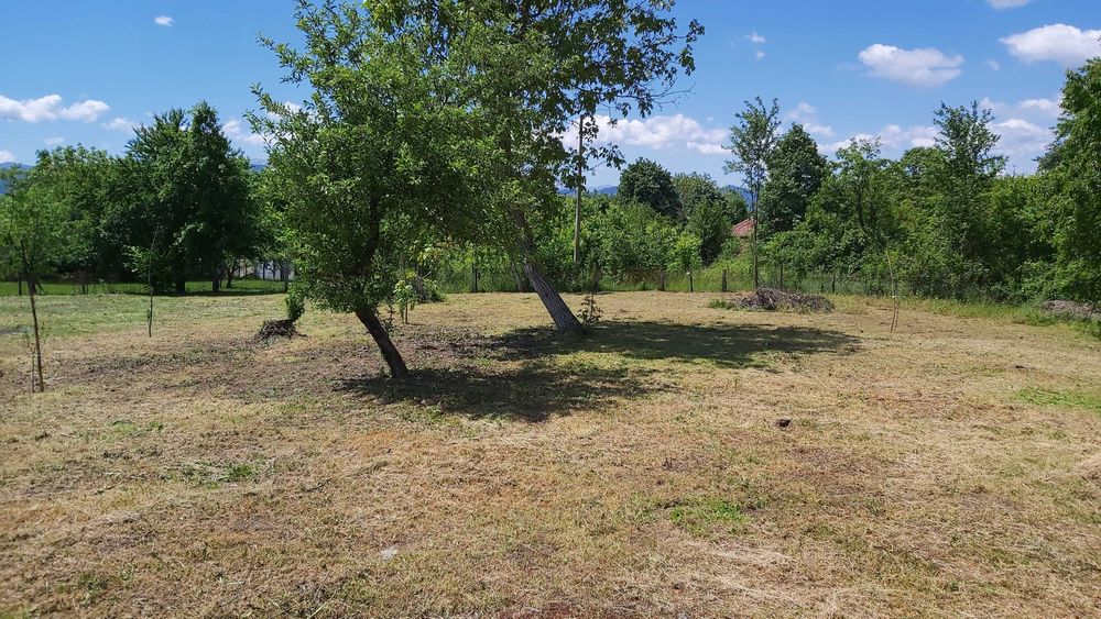 Почистване на запустели дворове и парцели от храсти и къпина.