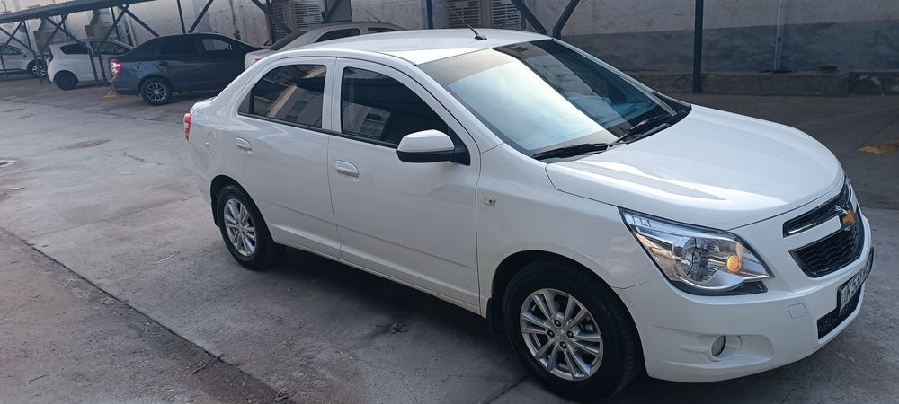 Коболт 2024 йил сотилади