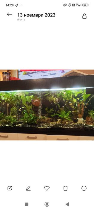 Обурудван Аквариум 600л. +