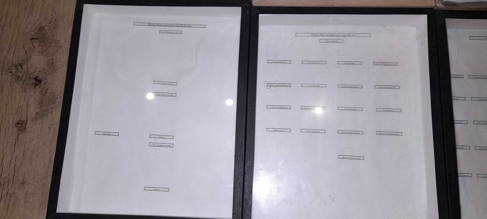 Продам энтомологические коробки