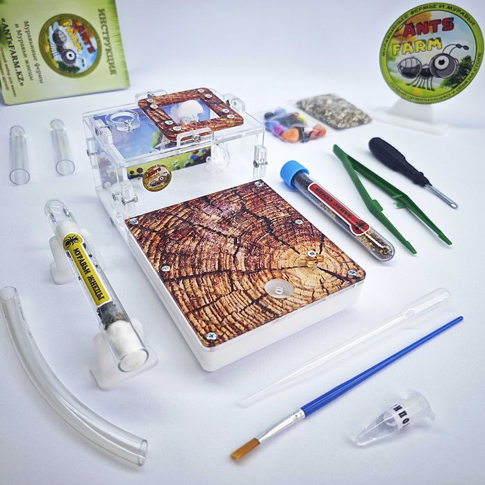 Муравьиная ферма - Муравьи жнецы ||| ГИПСОВЫЙ Формикарий "START"