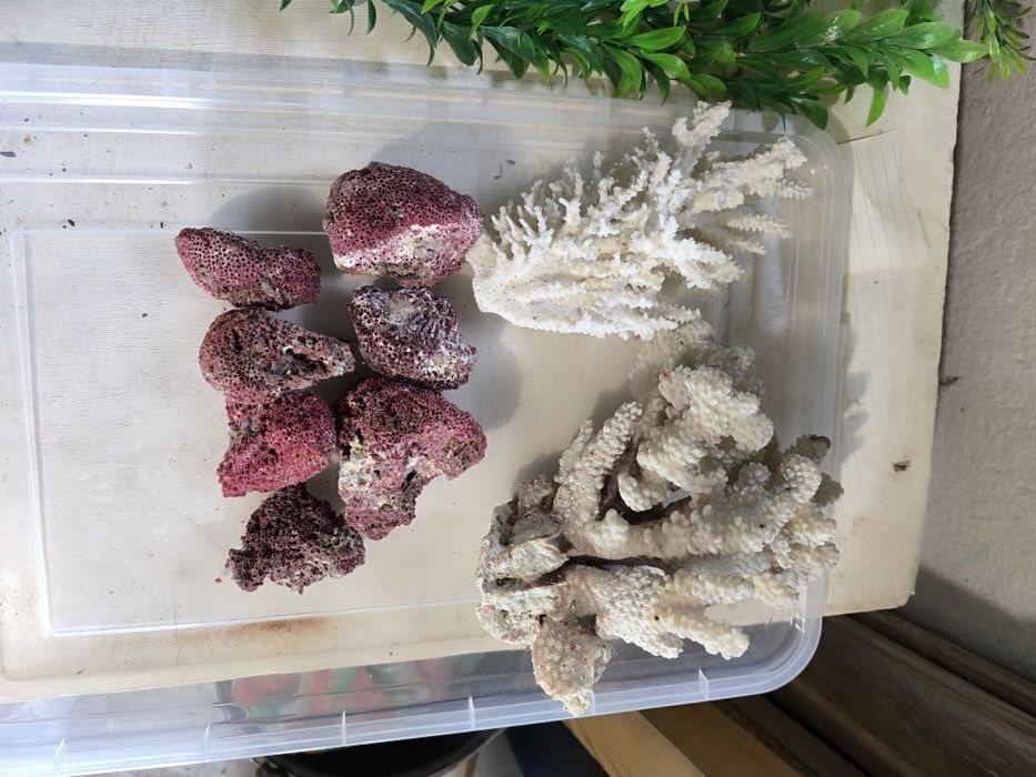 Аквариуми със стъклен капак нови