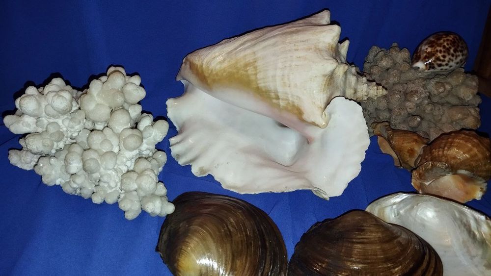 Предметы для дома