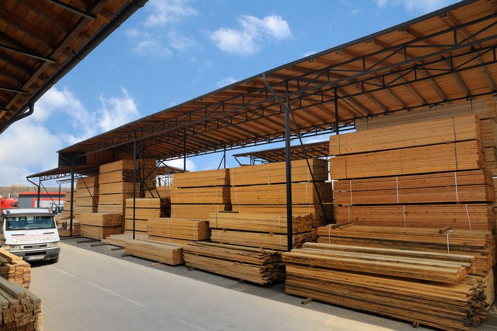 Scandura Preajba Dolj