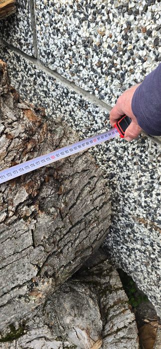 Орех, дървен материал.