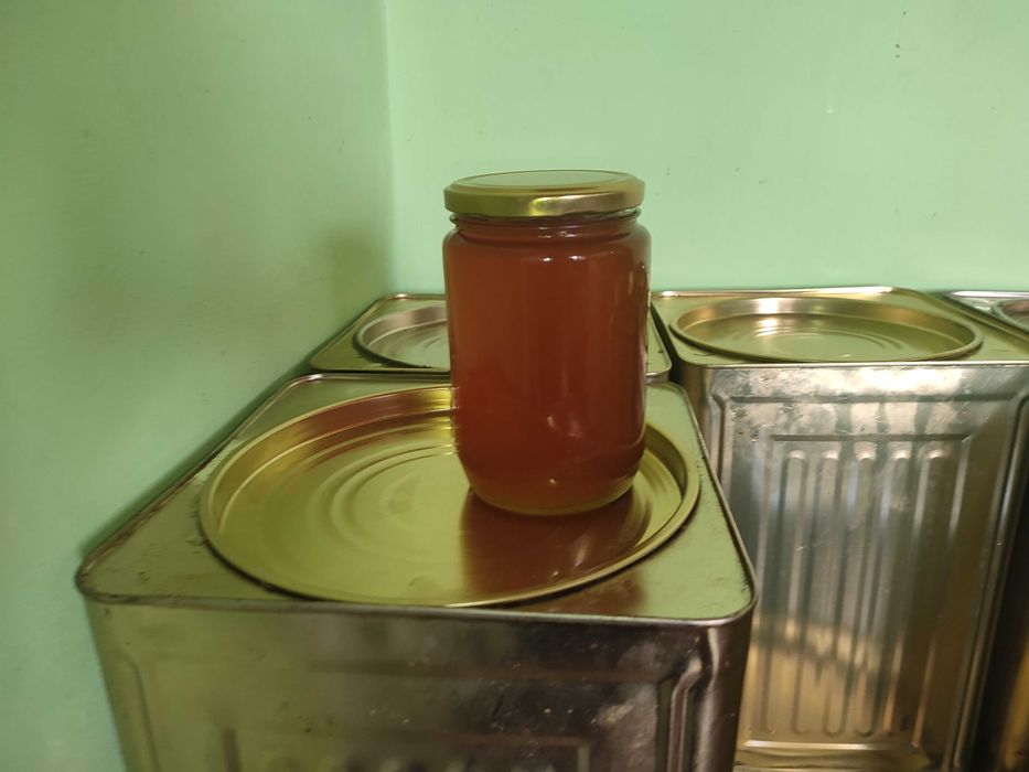 Пчелен мед реколта 2025г./Странджа планина/горски/билков/