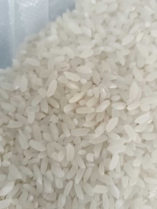 Рис маршалл оптом