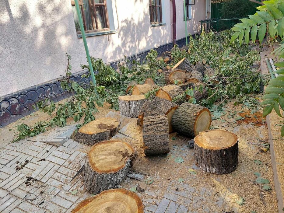 Продам дрова для шашлыка