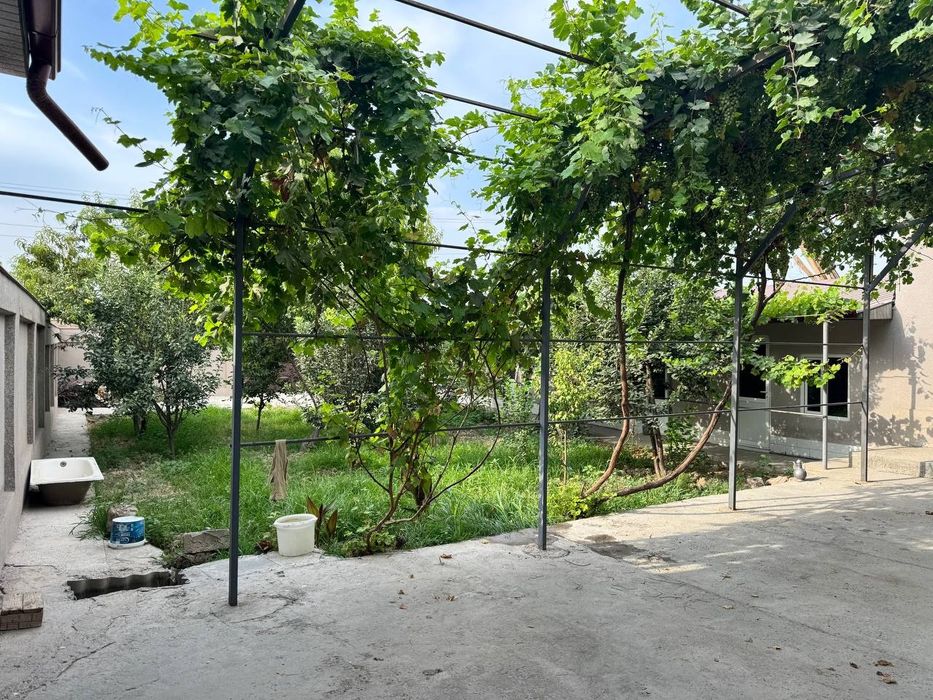 Ховли арзон нархда сотилади