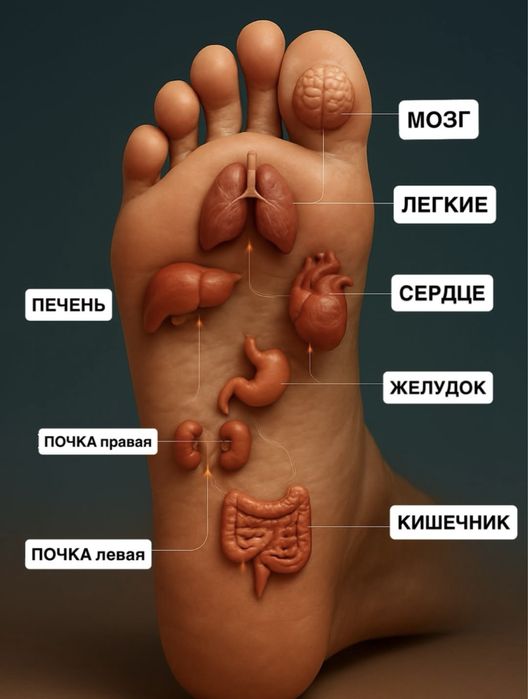 Общий массаж в зрослый