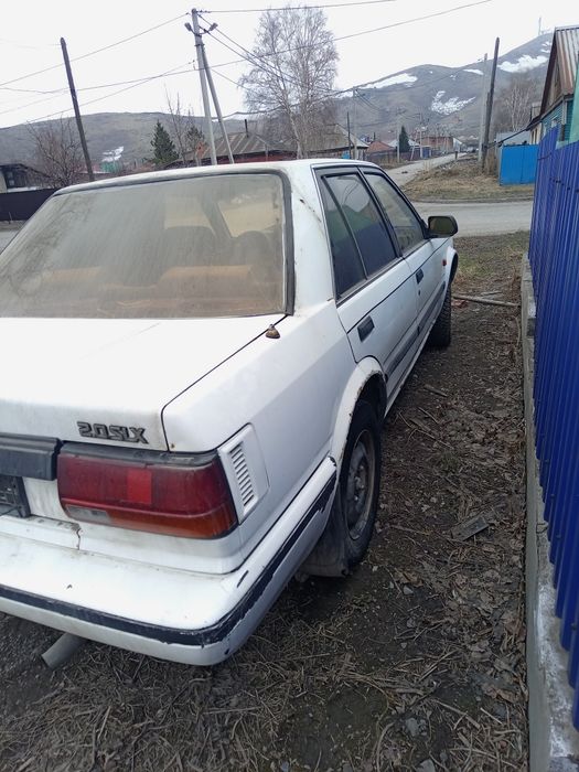 В разборе Ниссан блюбер