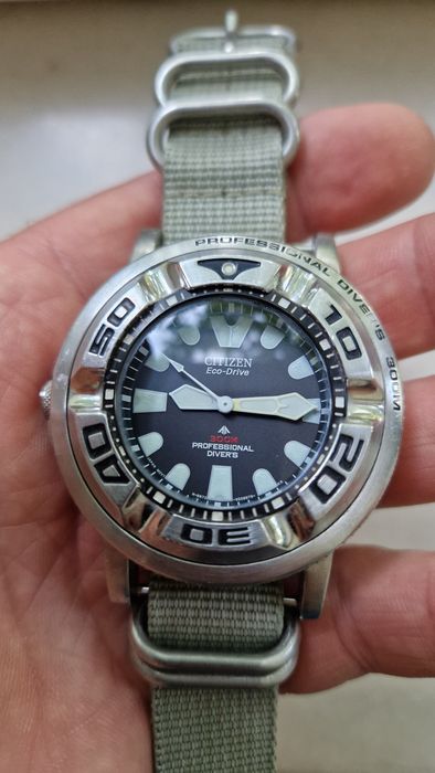 Citizen eco drive promaster ecozilla diver