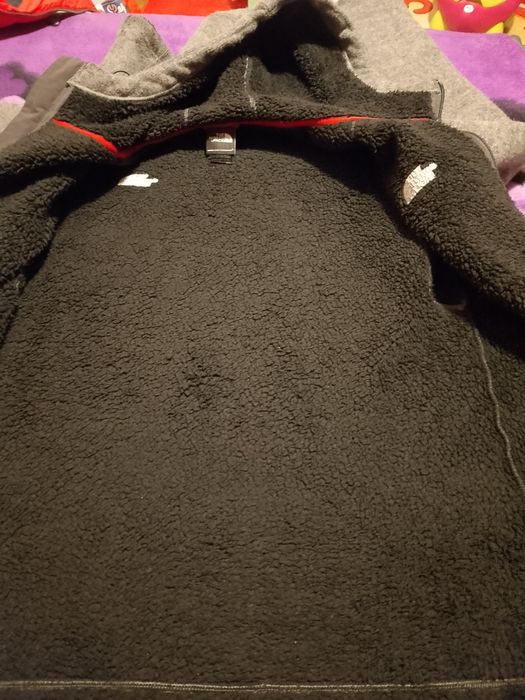 Polar The North Face imblanit, model rar