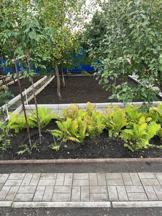 ПРОДАМ ДАЧУ. Садовое общество «Дорожник»